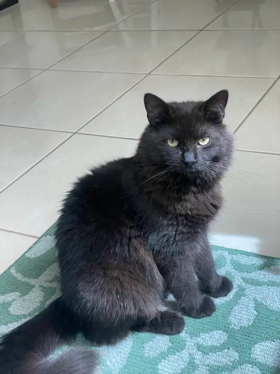 Max