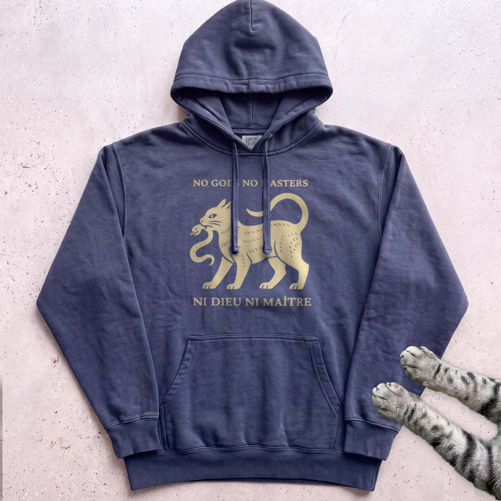 Anarchist Cat Hoodie - True Navy