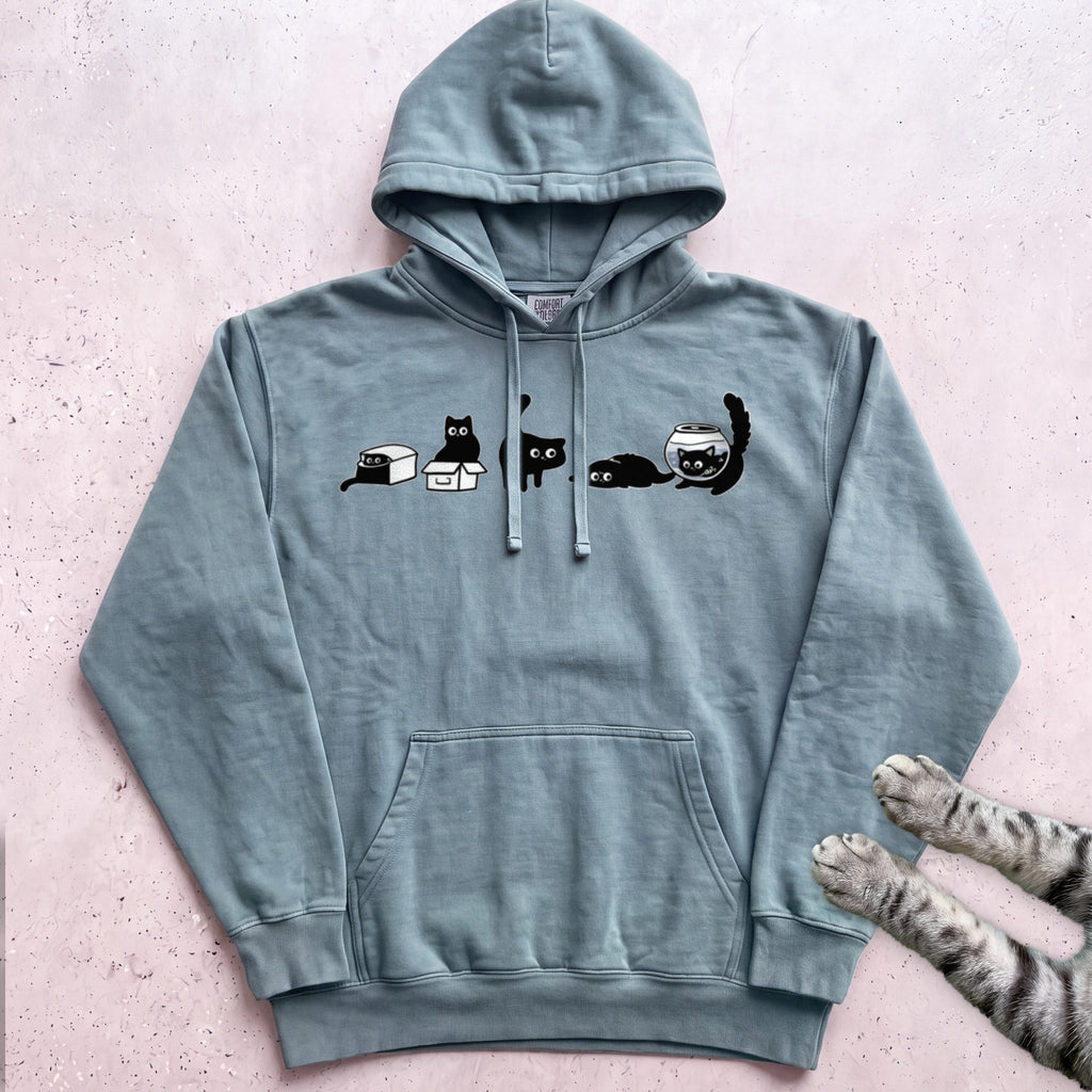 Cat Evolution Hoodie - Seafoam