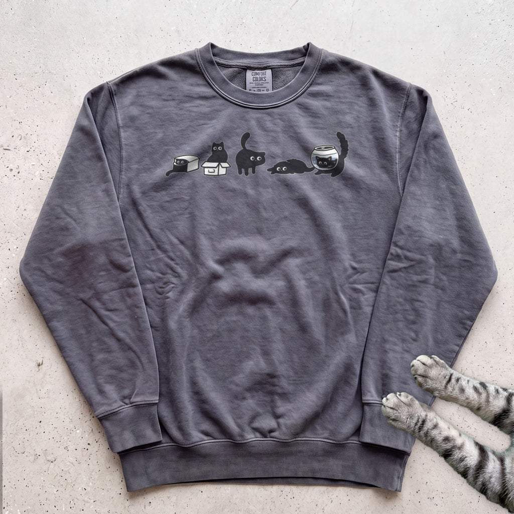 Cat Evolution Sweatshirt - Pepper