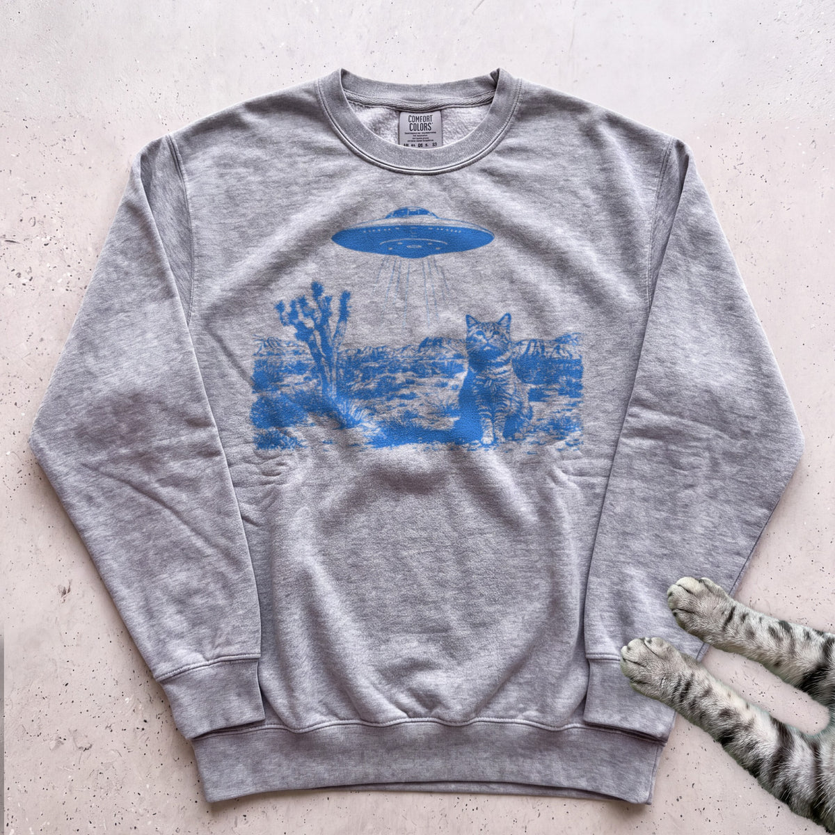 Cat In The Desert Sweatshirt - Grey
