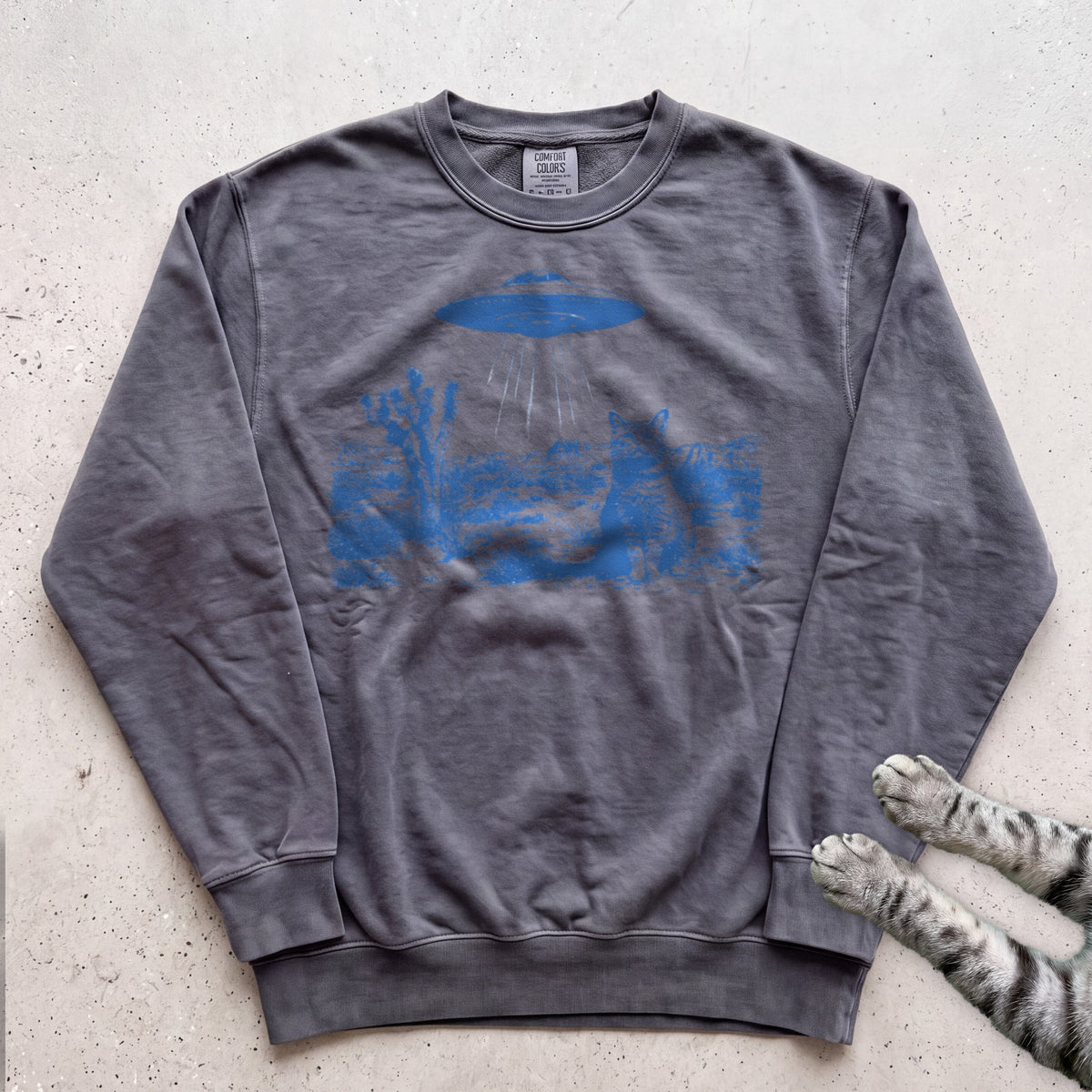 Cat In The Desert Sweatshirt - Pepper