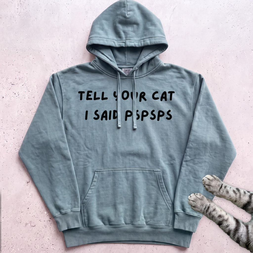 Psspss Cat Hoodie - Seafoam