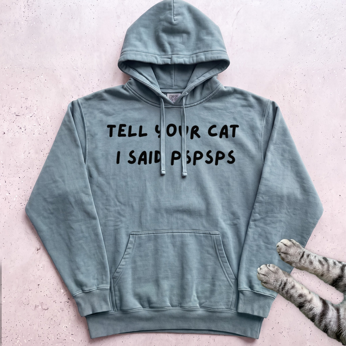 Psspss Cat Hoodie - Seafoam