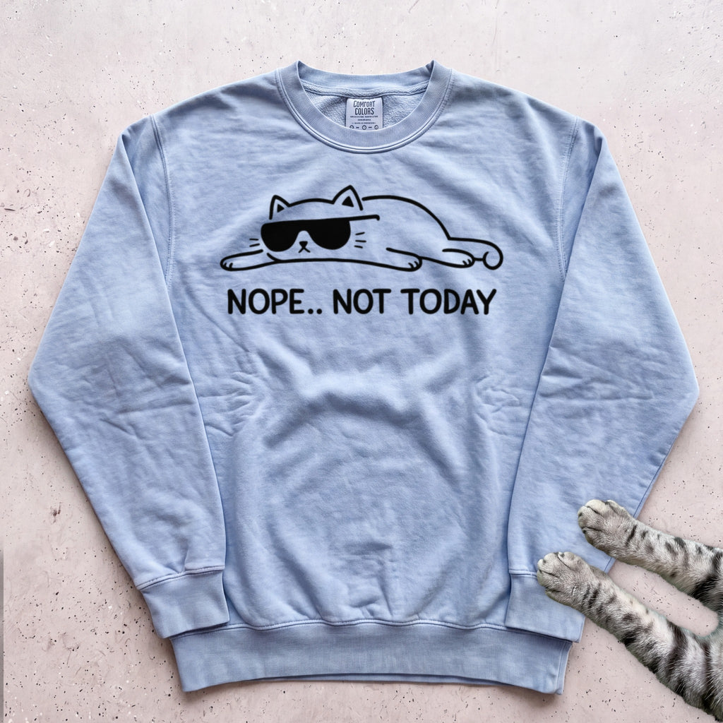 Cat 'Nope... Not Today' Sweatshirt - Chambray