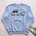 Cat 'Nope... Not Today' Sweatshirt - Chambray