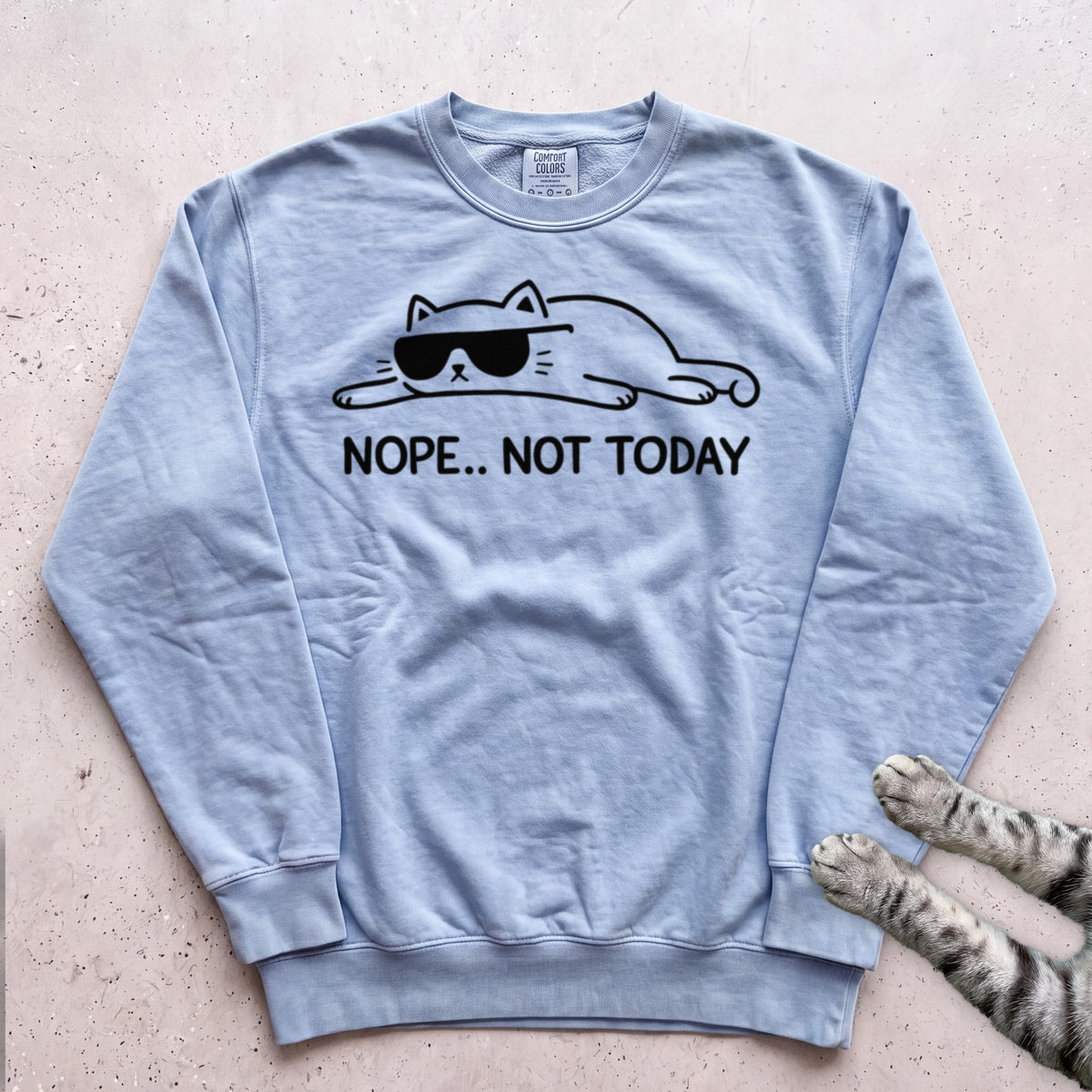 Cat 'Nope... Not Today' Sweatshirt - Chambray