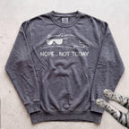 Cat 'Nope... Not Today' Sweatshirt - Pepper