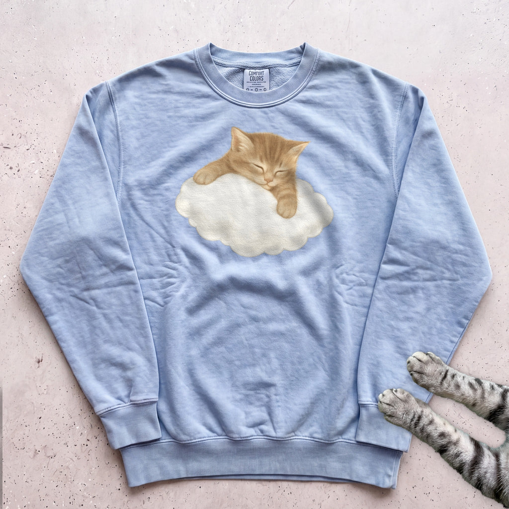 Cat on a Cloud Sweatshirt - Chambray