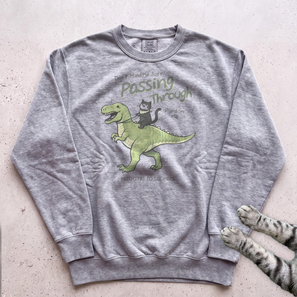 Cat Riding Dinosaur Sweatshirt - Grey