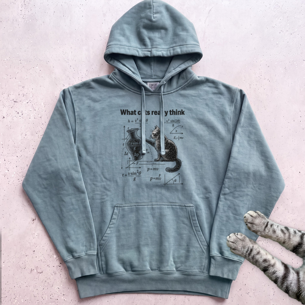 Cat Science Hoodie - Seafoam