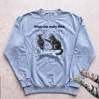 Cat Science Sweatshirt - Chambray