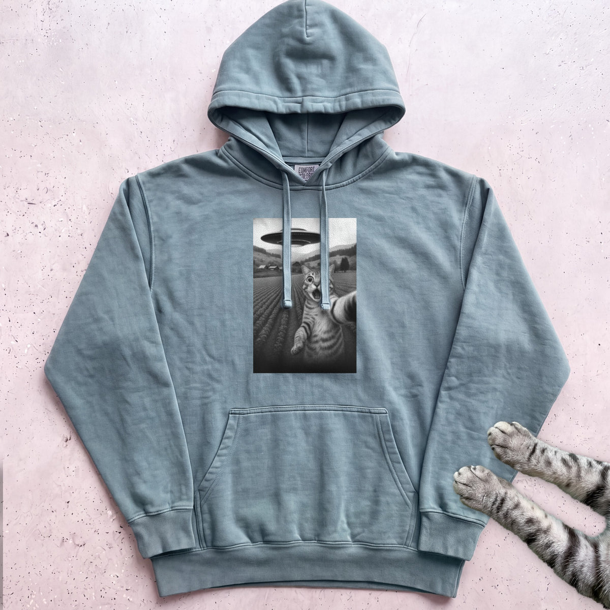 Cat Selfie with UFO Hoodie - Seafoam