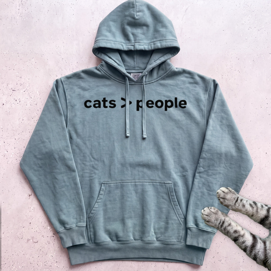 Cats > People Hoodie - Seafoam