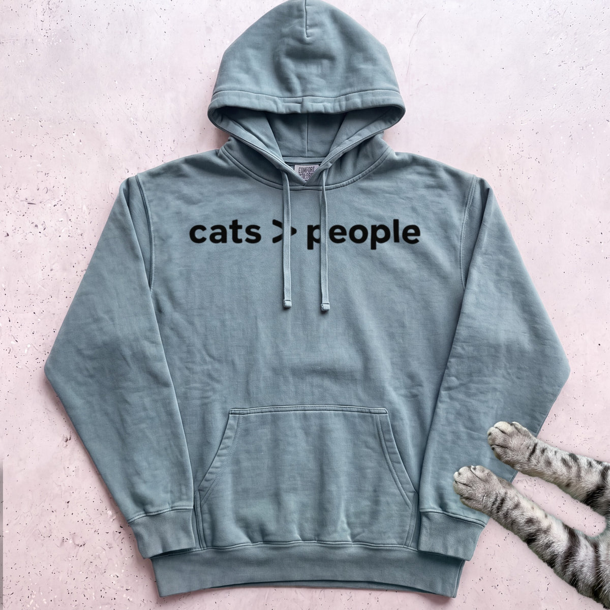 Cats > People Hoodie - Seafoam