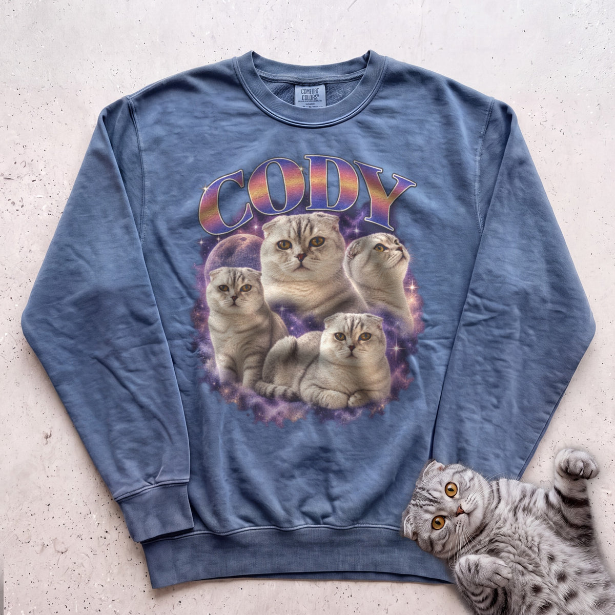 Custom Cat Graphic Sweatshirt — Retro Portraits Personalized Cat - Blue Jean