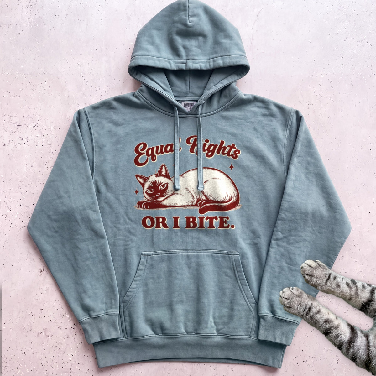Equal Rights or I Bite Cat Hoodie - Seafoam