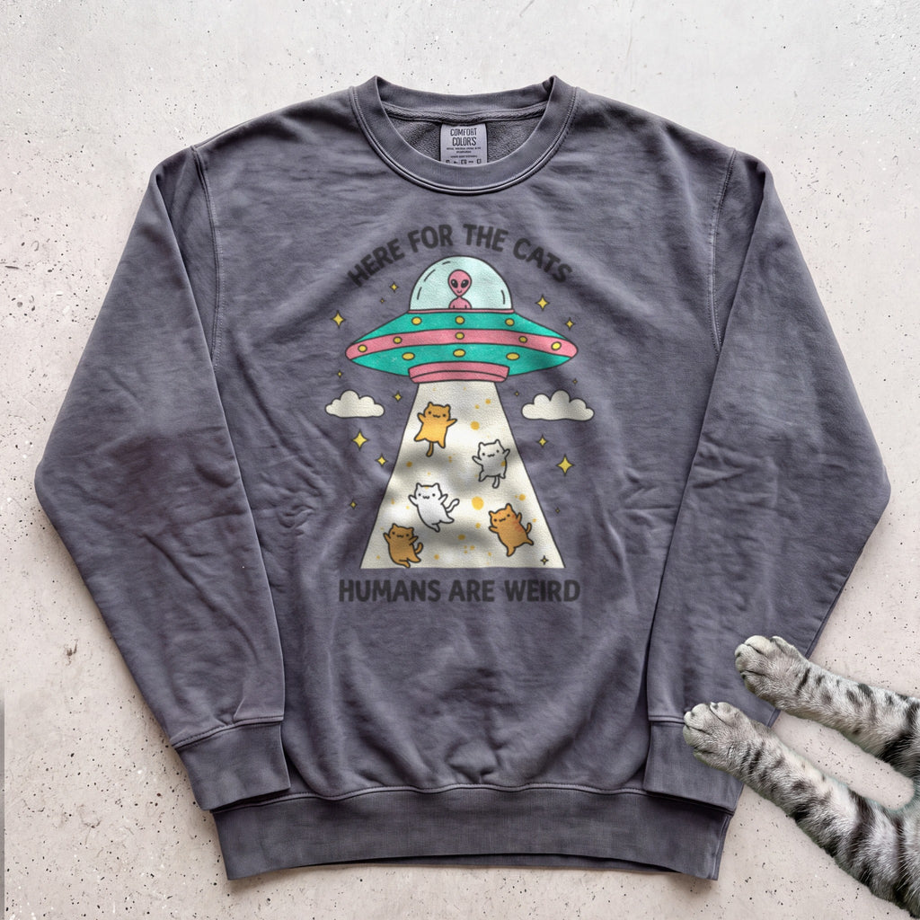 Here For The Cats Humans Are Weird Cat Sweatshirt - Pepper
