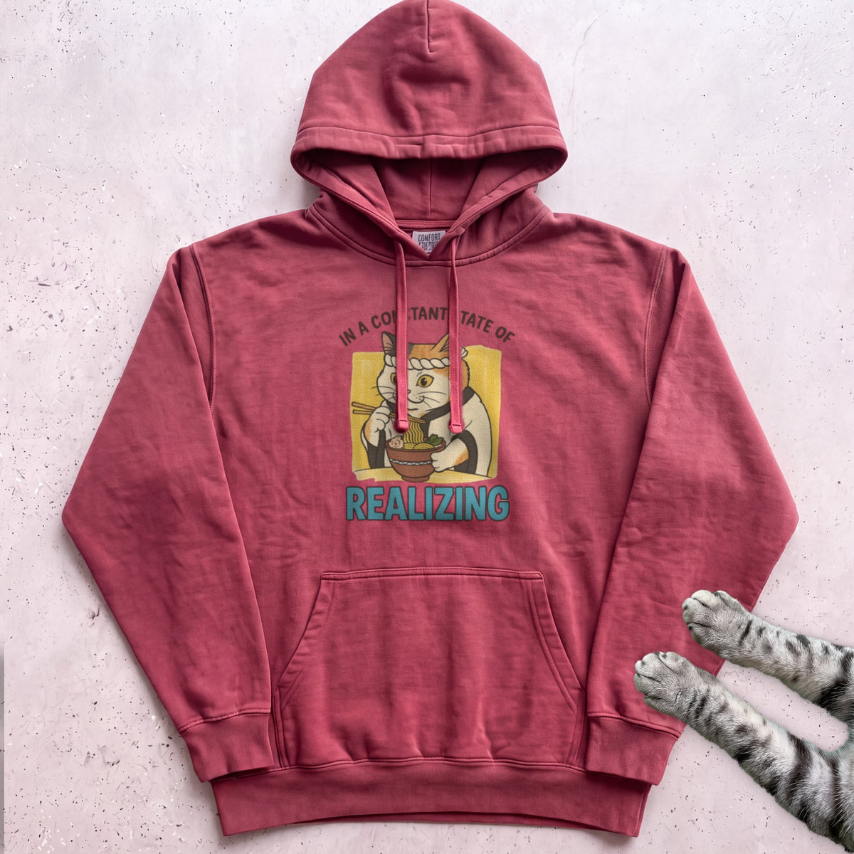 In a Constant State of Realizing Cat Hoodie - Crimson