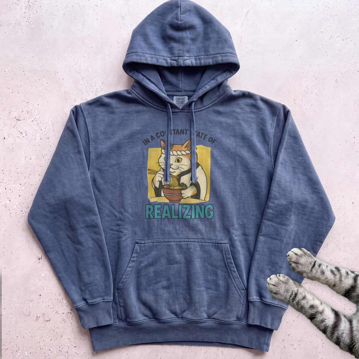 In a Constant State of Realizing Cat Hoodie - Denim