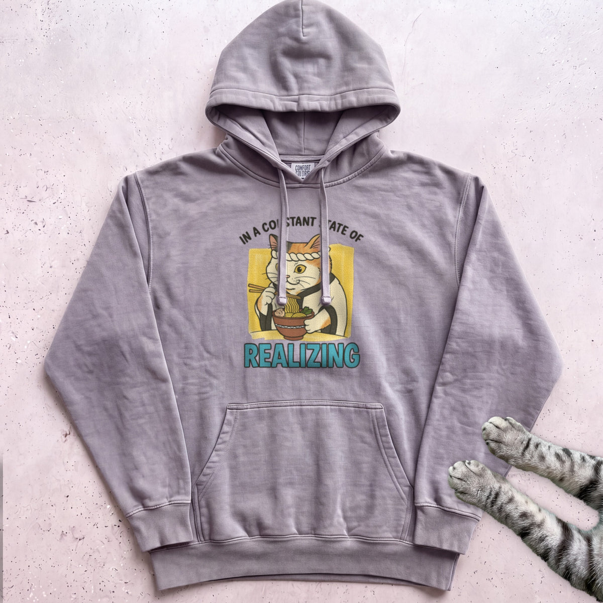 In a Constant State of Realizing Cat Hoodie - Grey