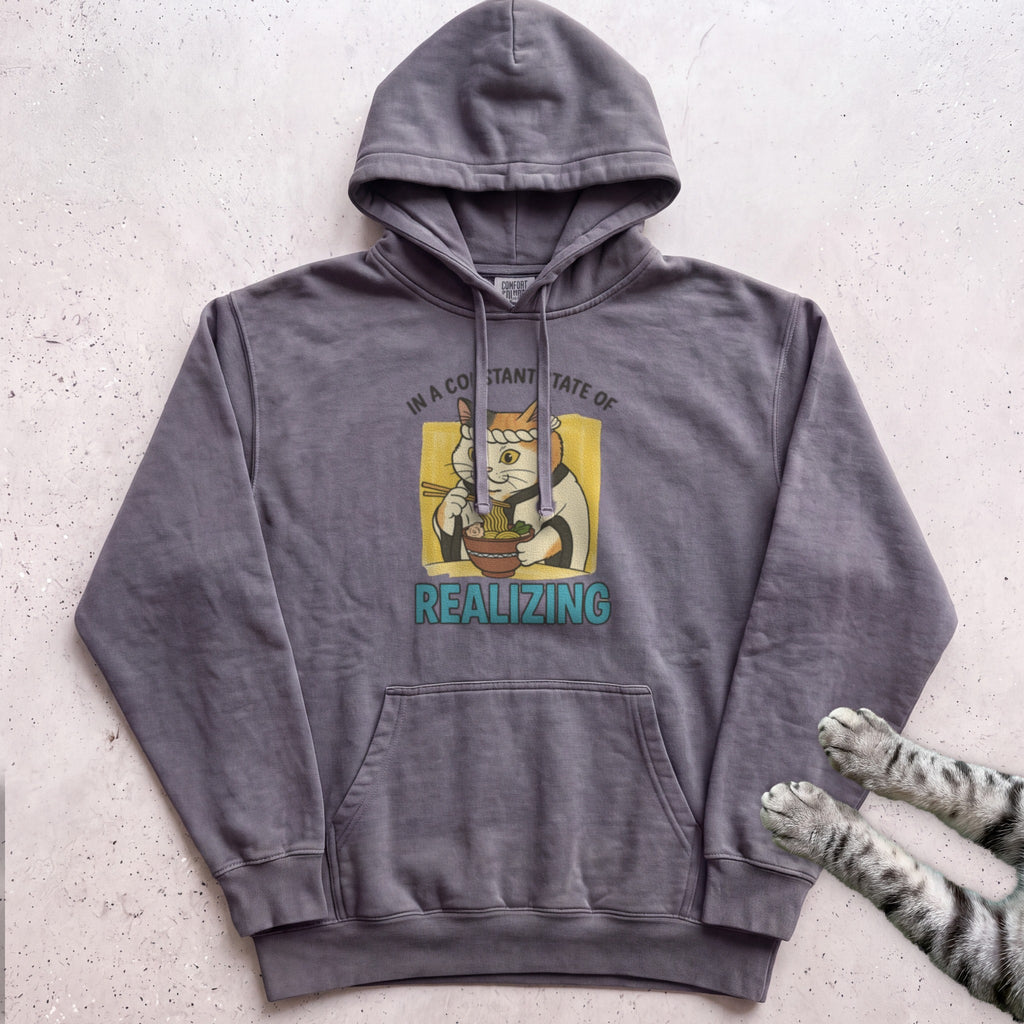 In a Constant State of Realizing Cat Hoodie - Pepper