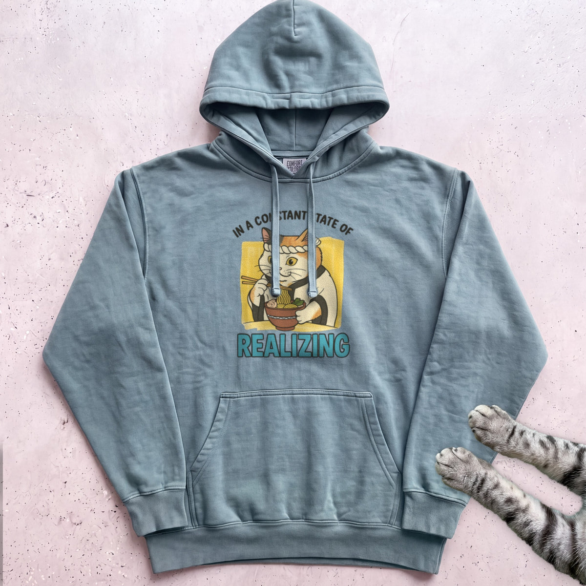 In a Constant State of Realizing Cat Hoodie - Seafoam