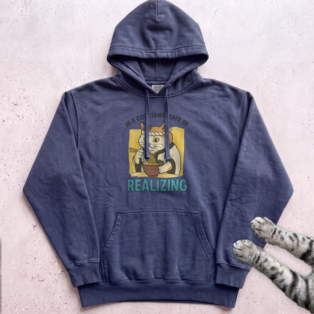 In a Constant State of Realizing Cat Hoodie - True Navy