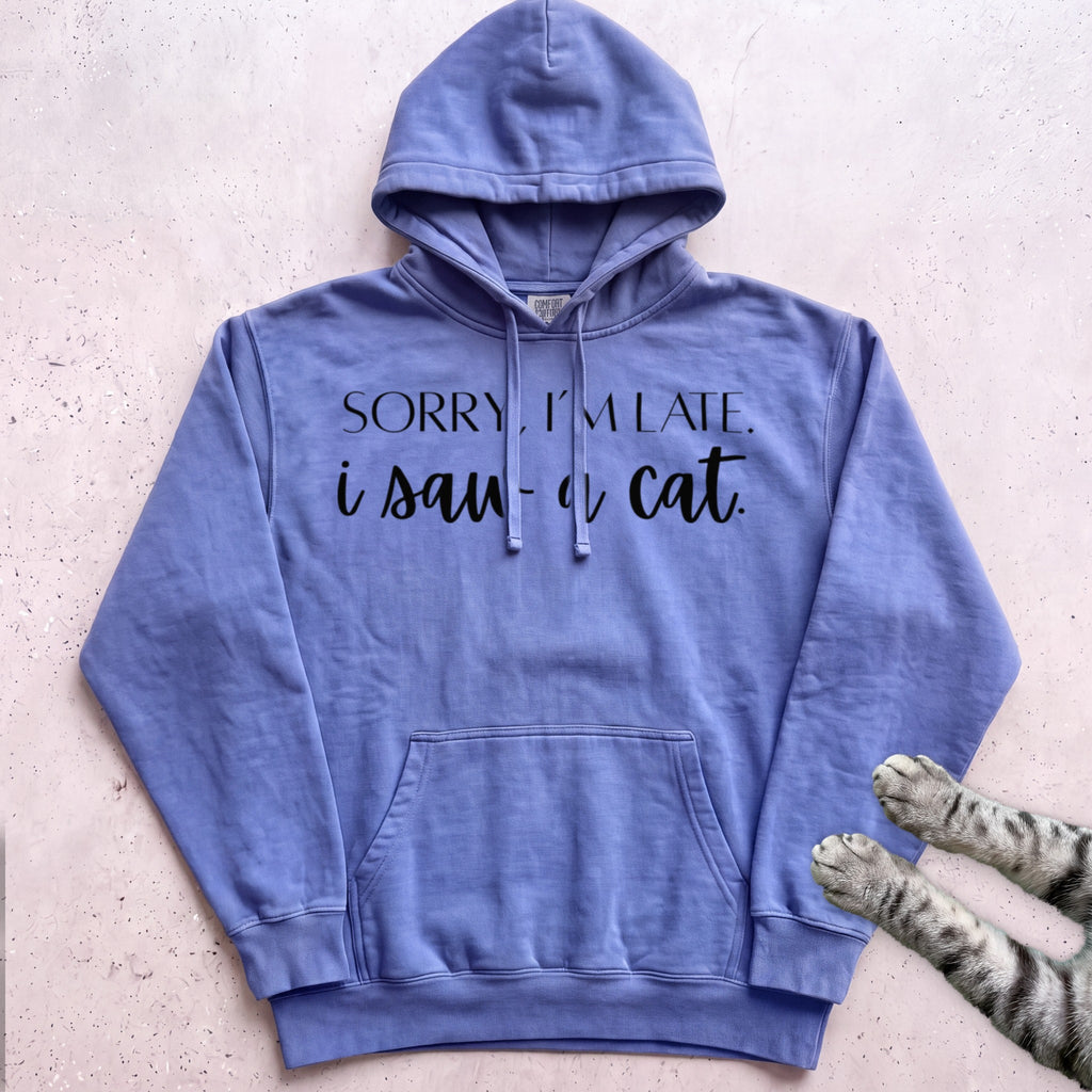 Sorry, I’m Late I Saw A Cat Hoodie - Flo Blue