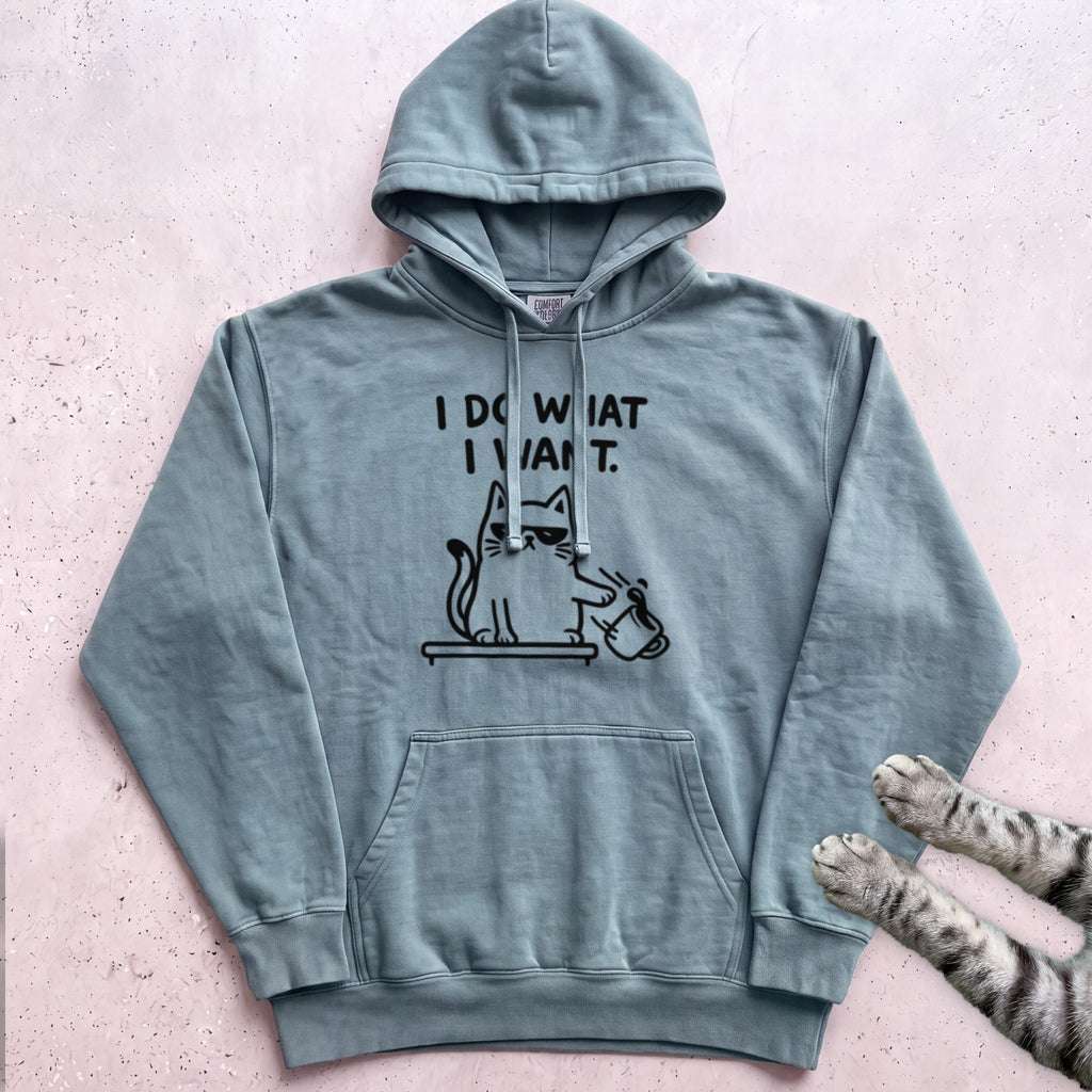 I Do What I Want Cat Hoodie - Seafoam