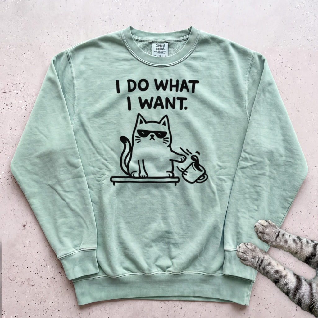 I Do What I Want Cat Sweatshirt - Light Green