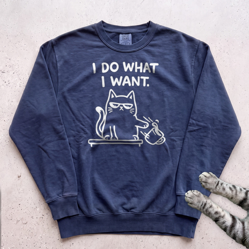 I Do What I Want Cat Sweatshirt - True Navy