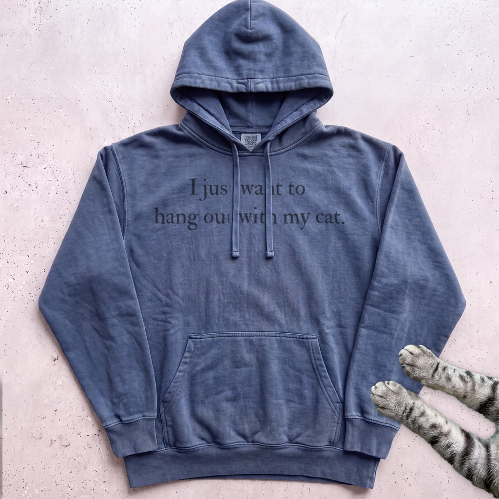 I Just Want to Hang Out with My Cat Hoodie - Denim