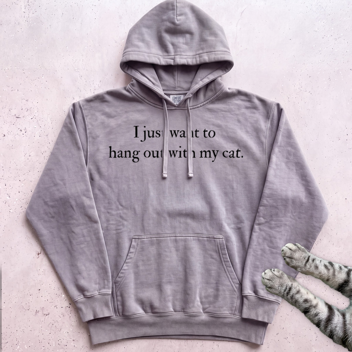 I Just Want to Hang Out with My Cat Hoodie - Grey