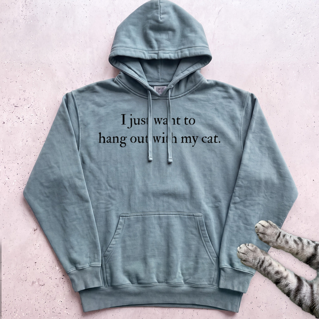 I Just Want to Hang Out with My Cat Hoodie - Seafoam