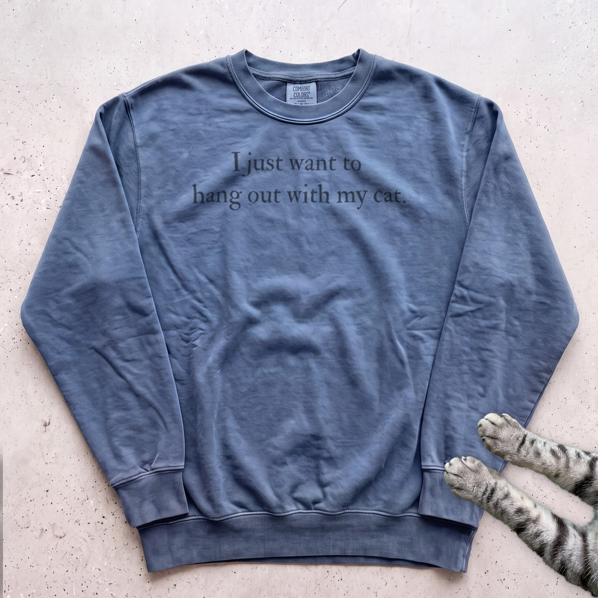 I Just Want to Hang Out with My Cat Sweatshirt - Blue Jean