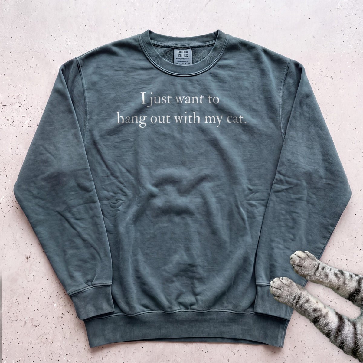 I Just Want to Hang Out with My Cat Sweatshirt - Blue Spruce