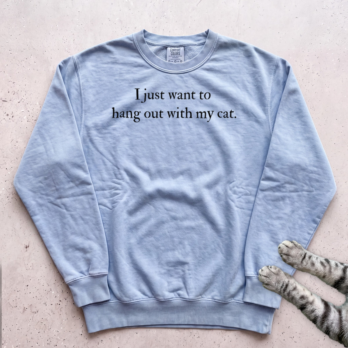 I Just Want to Hang Out with My Cat Sweatshirt - Chambray