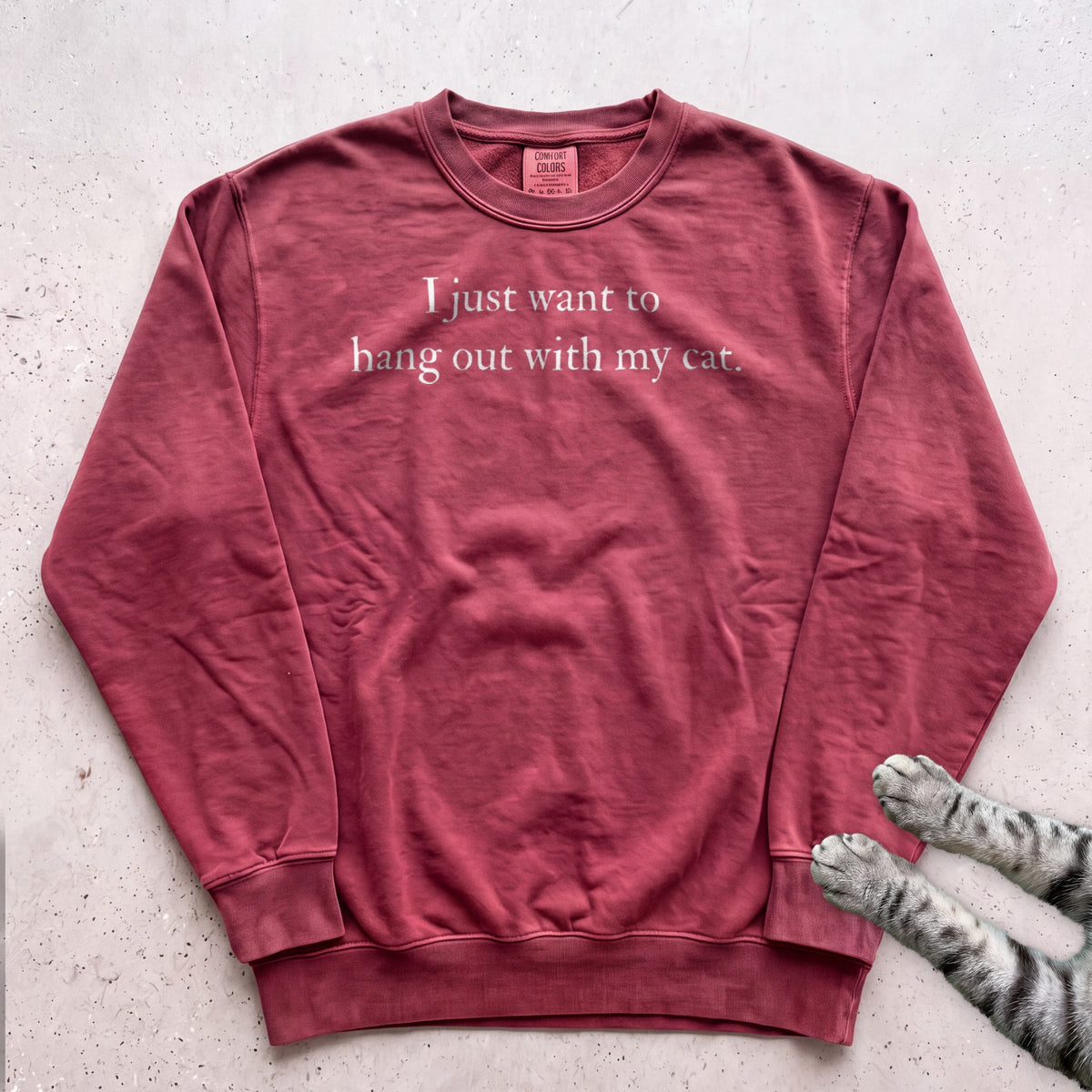 I Just Want to Hang Out with My Cat Sweatshirt - Crimson