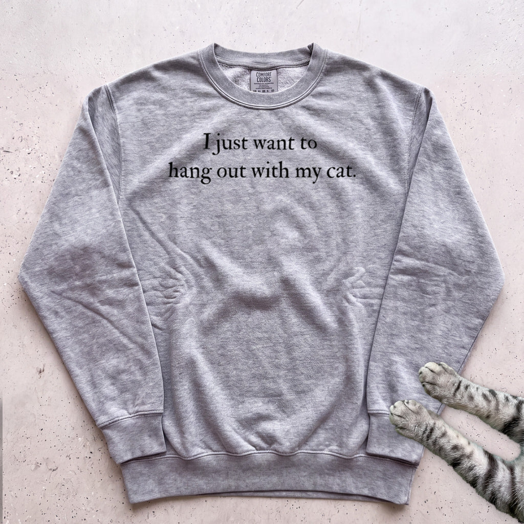 I Just Want to Hang Out with My Cat Sweatshirt - Grey