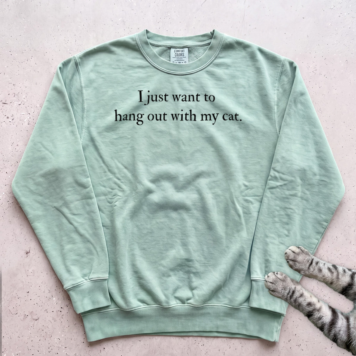 I Just Want to Hang Out with My Cat Sweatshirt - Light Green