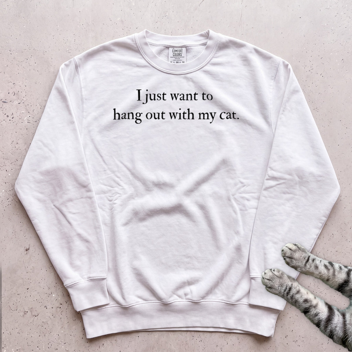 I Just Want to Hang Out with My Cat Sweatshirt - White