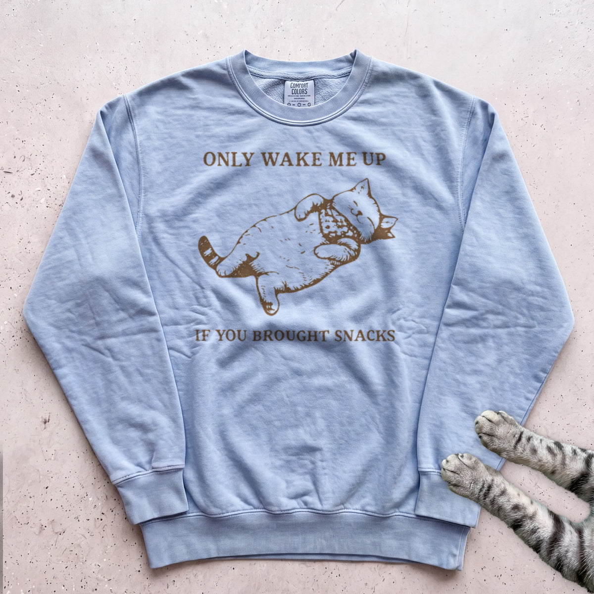 Only Wake Me Up If You Brought Snacks Sweatshirt - Chambray