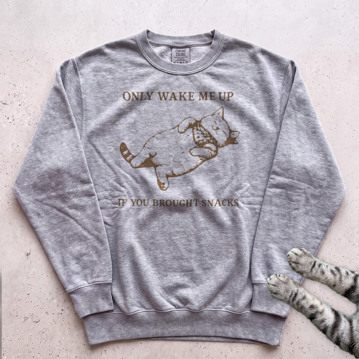 Only Wake Me Up If You Brought Snacks Sweatshirt - Grey