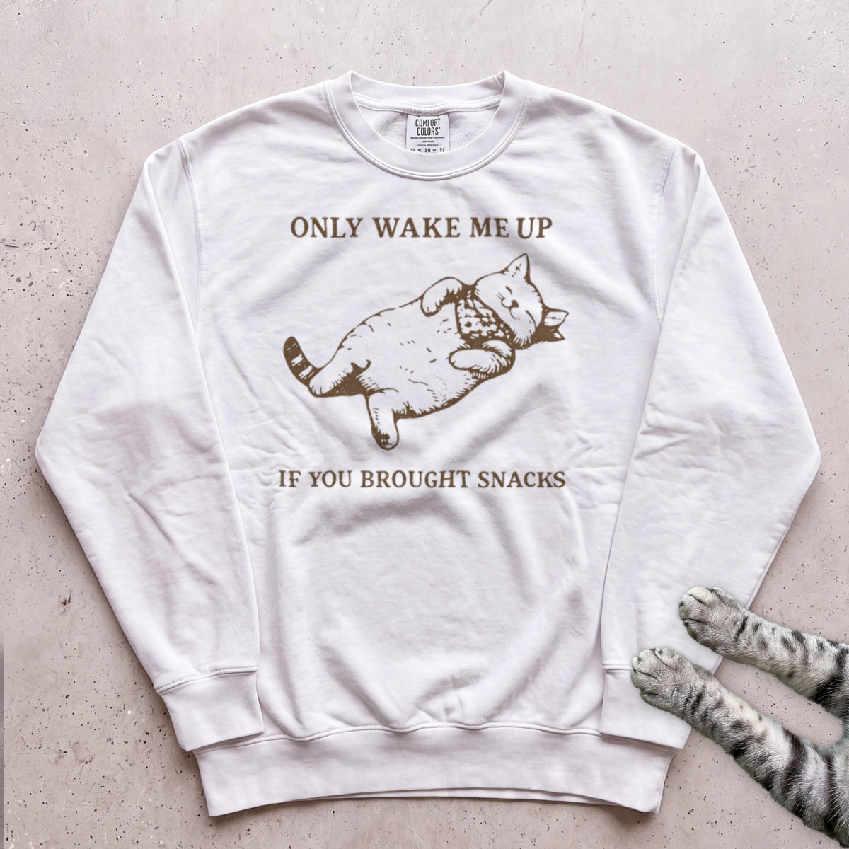 Only Wake Me Up If You Brought Snacks Sweatshirt - White