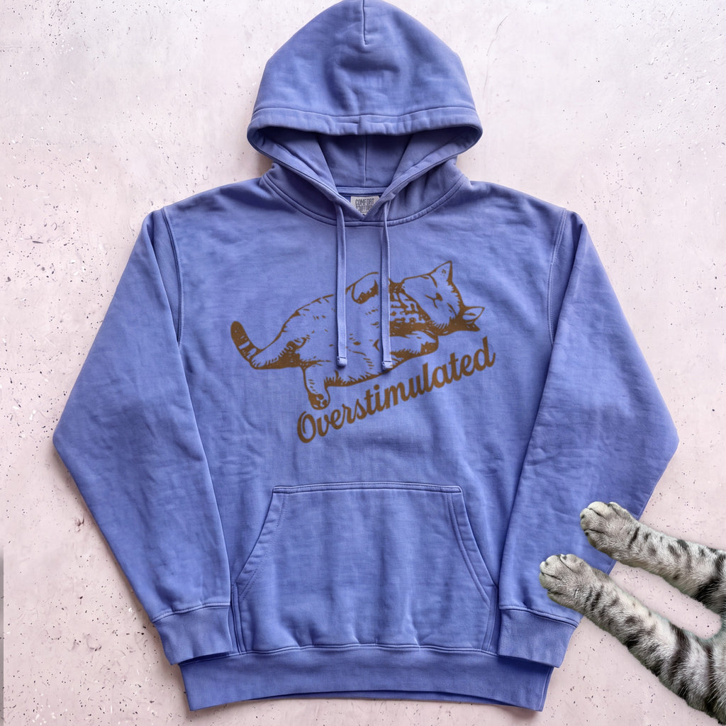 Overstimulated Cat Hoodie - Flo Blue