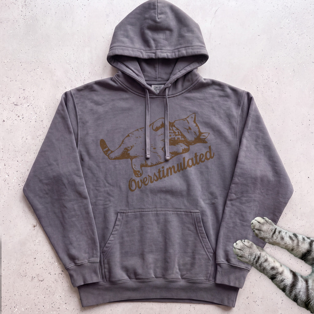 Overstimulated Cat Hoodie - Pepper