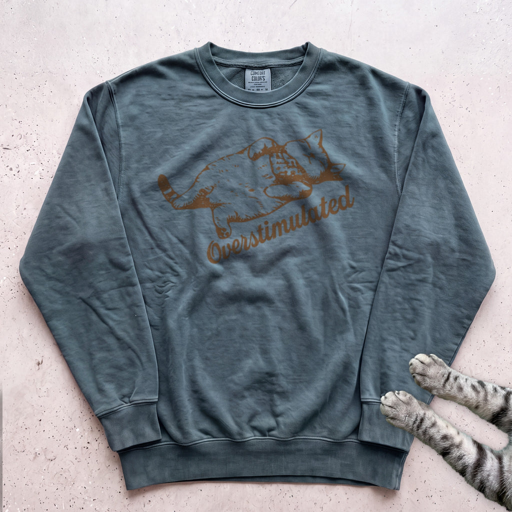 Overstimulated Cat Sweatshirt - Blue Spruce