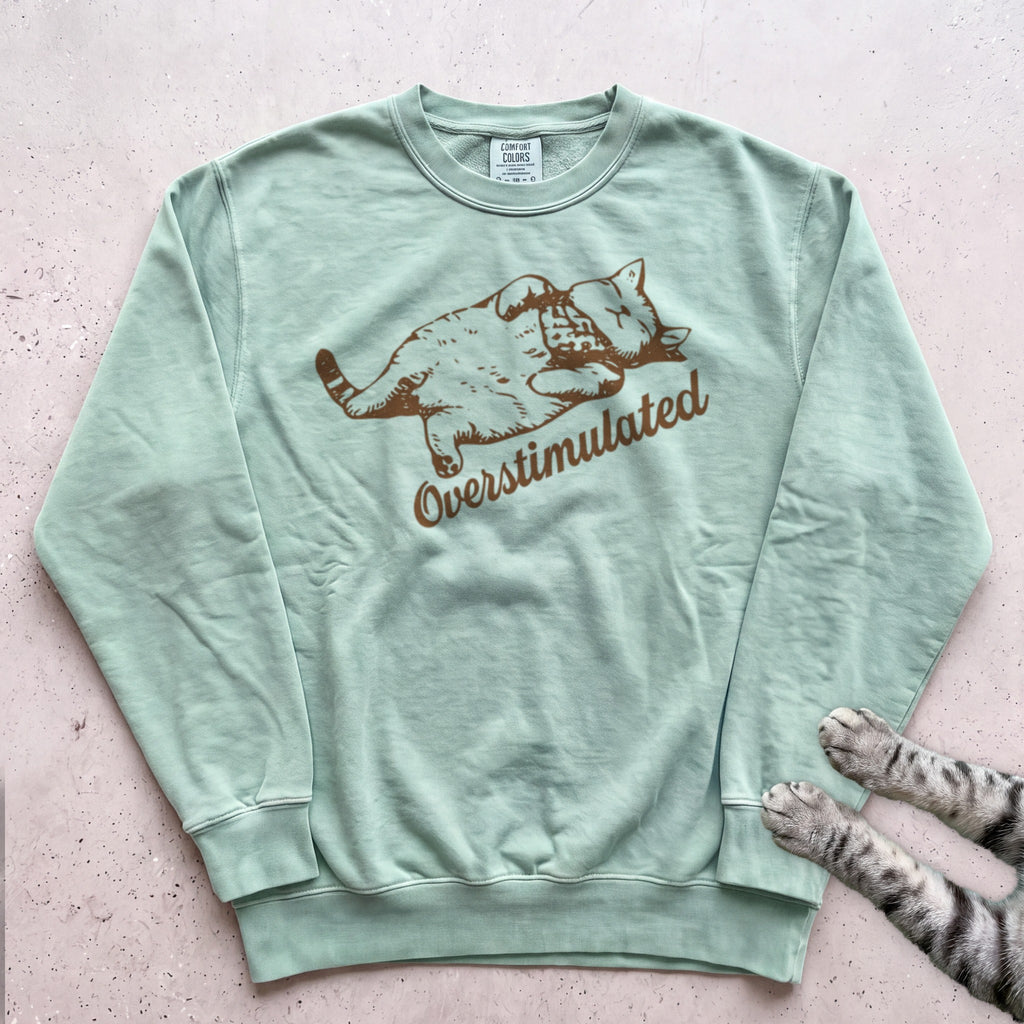 Overstimulated Cat Sweatshirt - Light Green