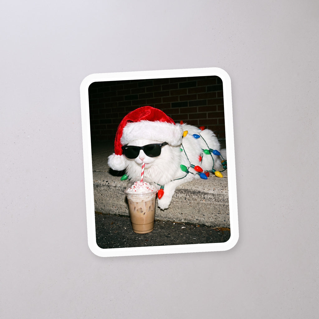 Peppermint Latte Cat Sticker on a concrete floor